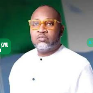 Dumebi Kachikwu Biography: Age, Net Worth & Political Career